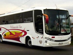 pullman-del-sur1
