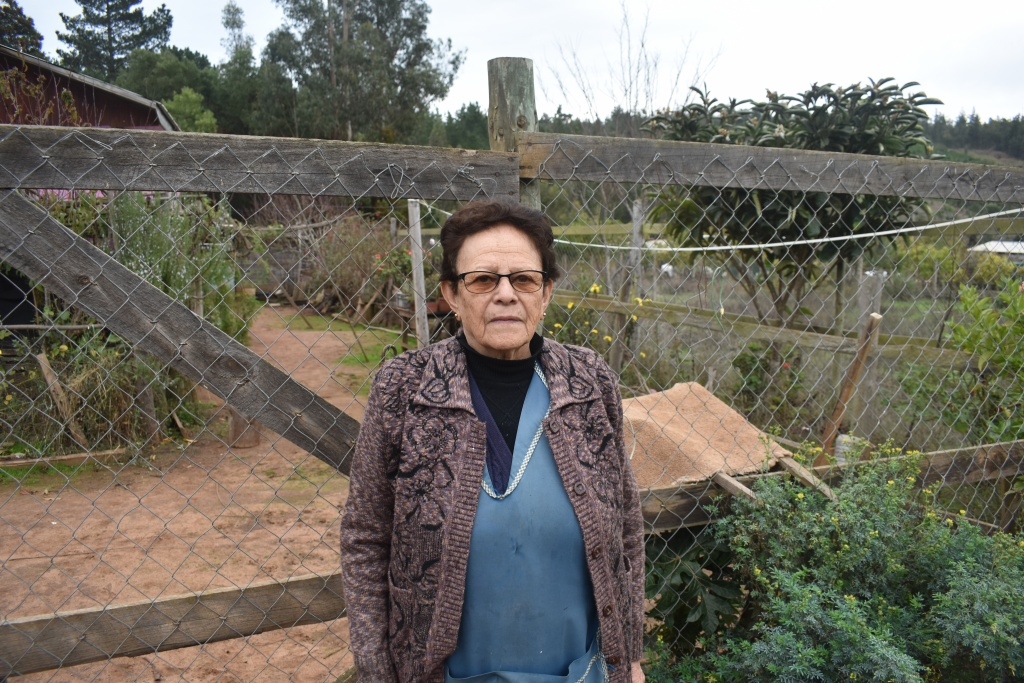 Manos que sostienen nuestra comunidad