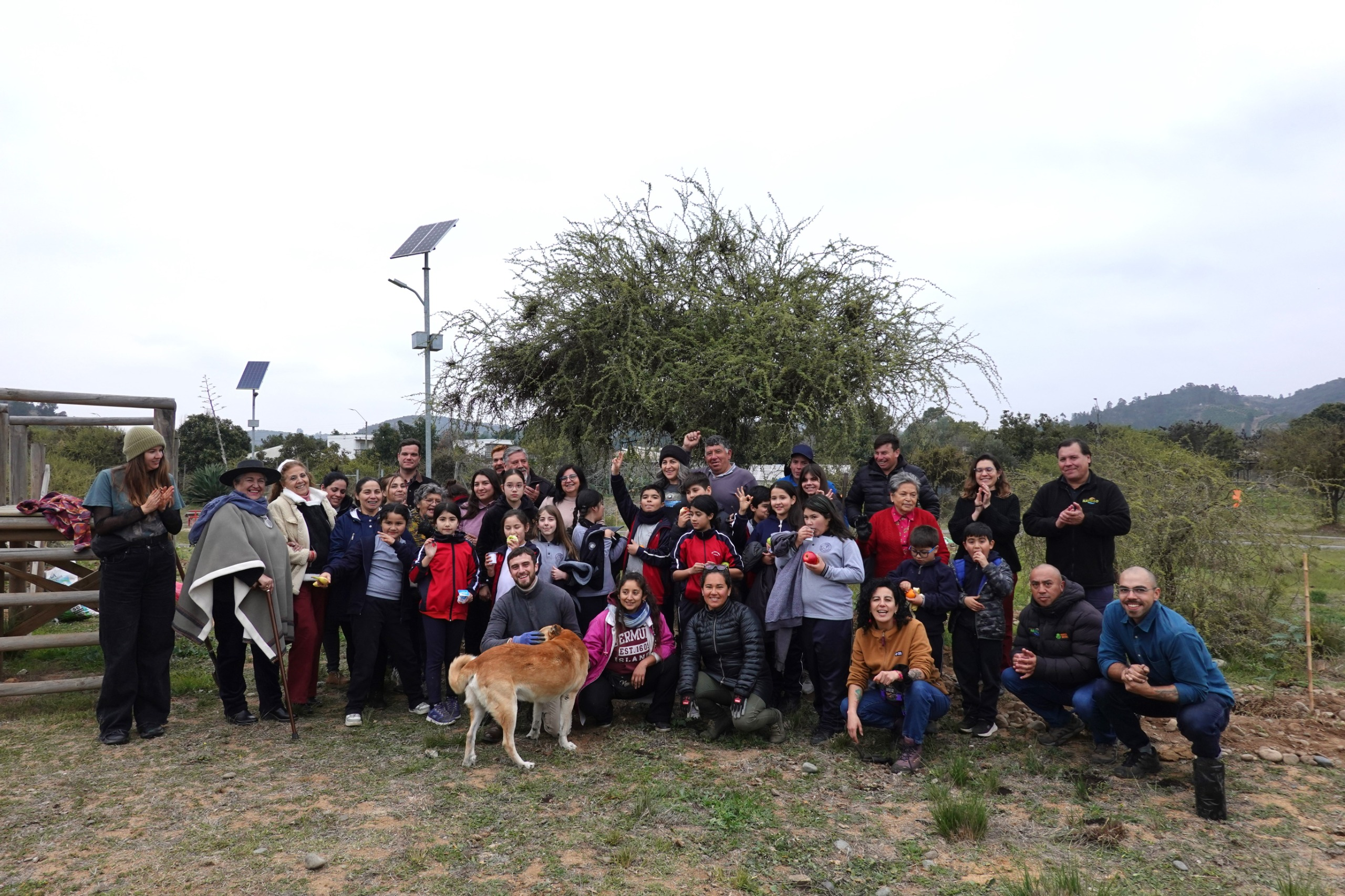 Jornada comunitaria de arborización suma 100 árboles nativos al Parque Urbano de Rapel